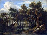 The Marsh in a Forest